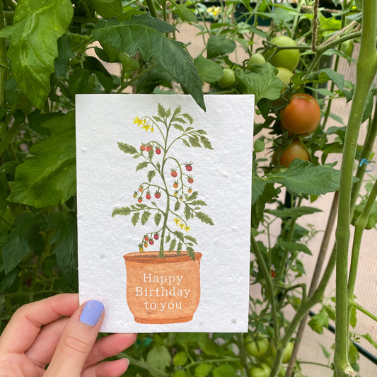 Plantable tomato birthday card