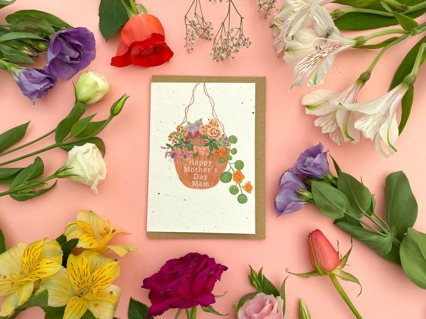 Personalised plantable hanging basket Mother's day card - Sofia Papa Designs