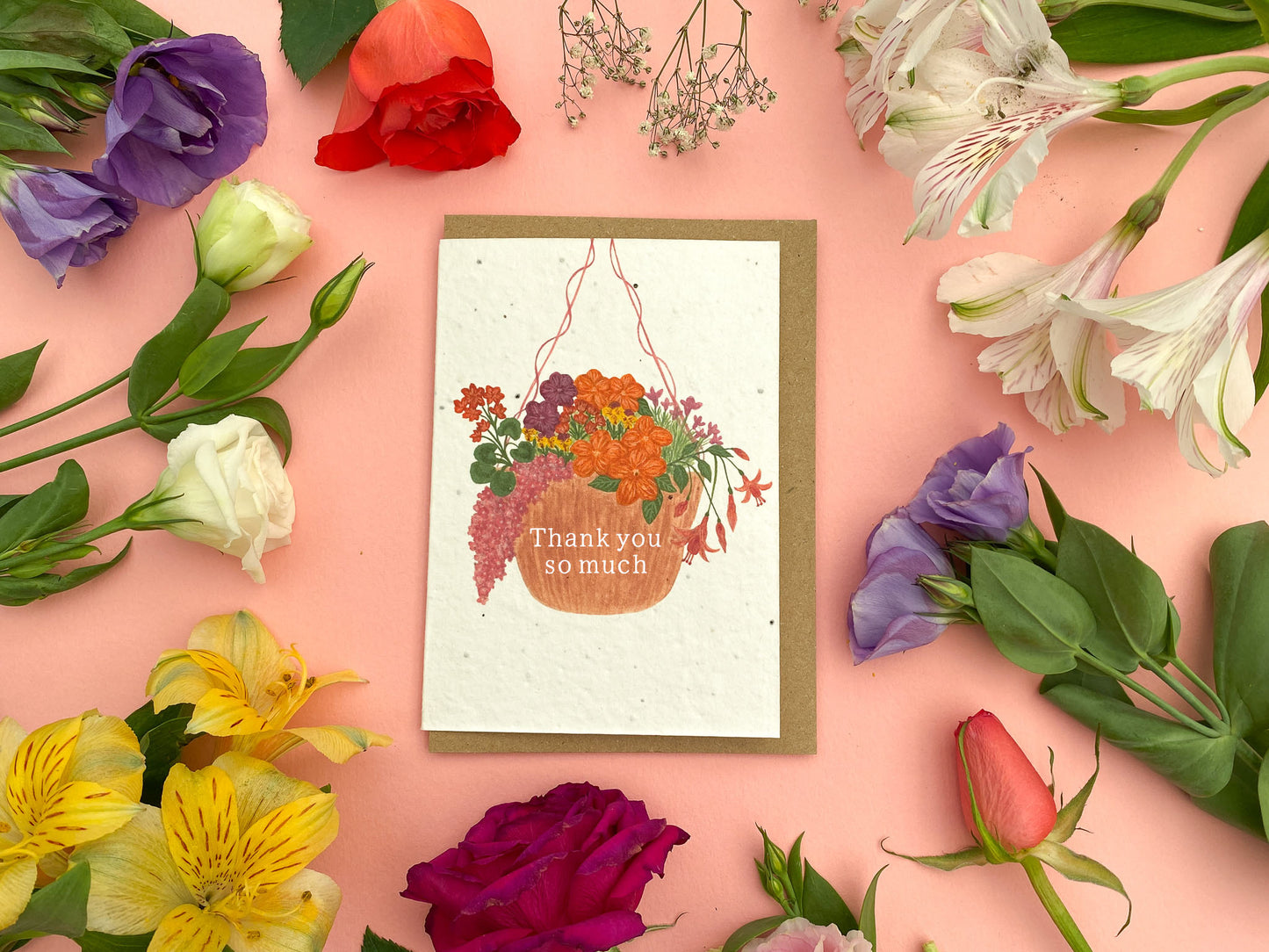 Plantable hanging basket card