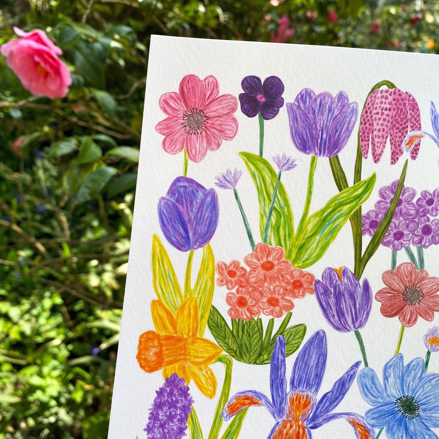 Spring meadow print - Sofia Papa Designs