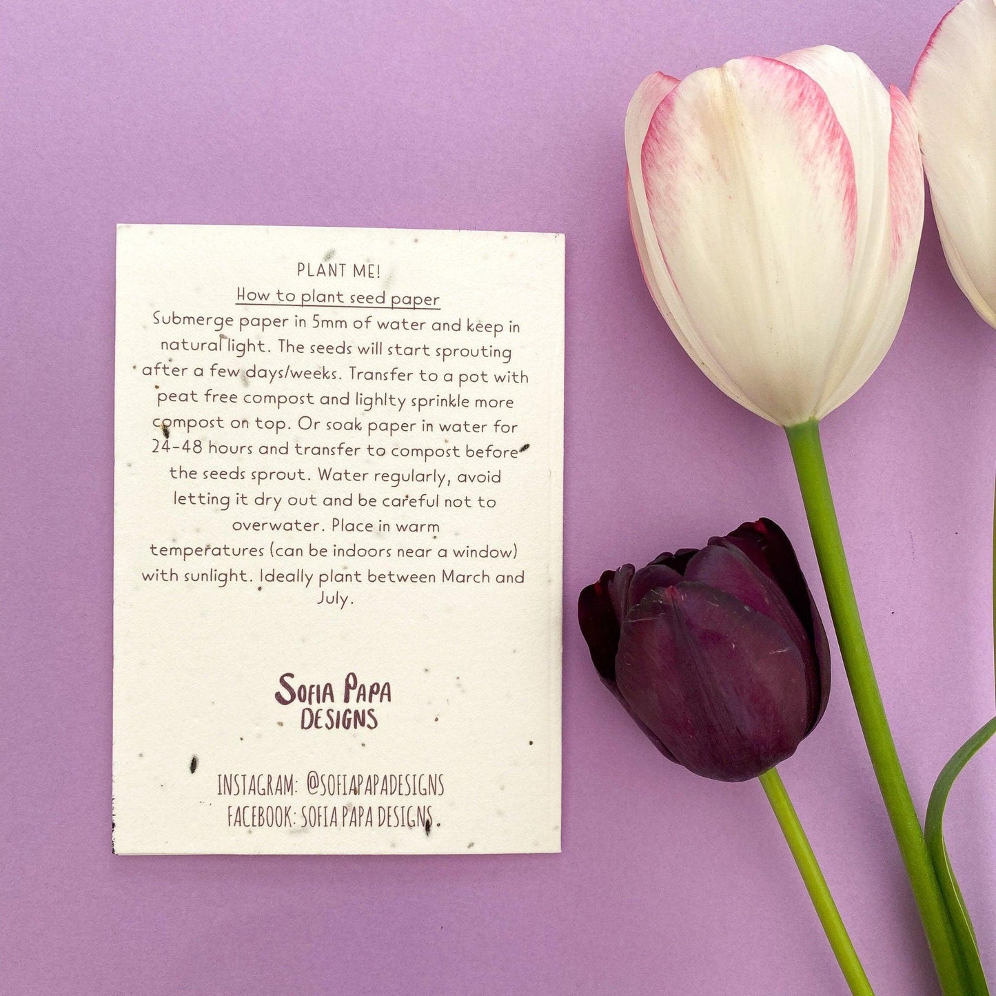 Plantable Spring flowers card - Sofia Papa Designs