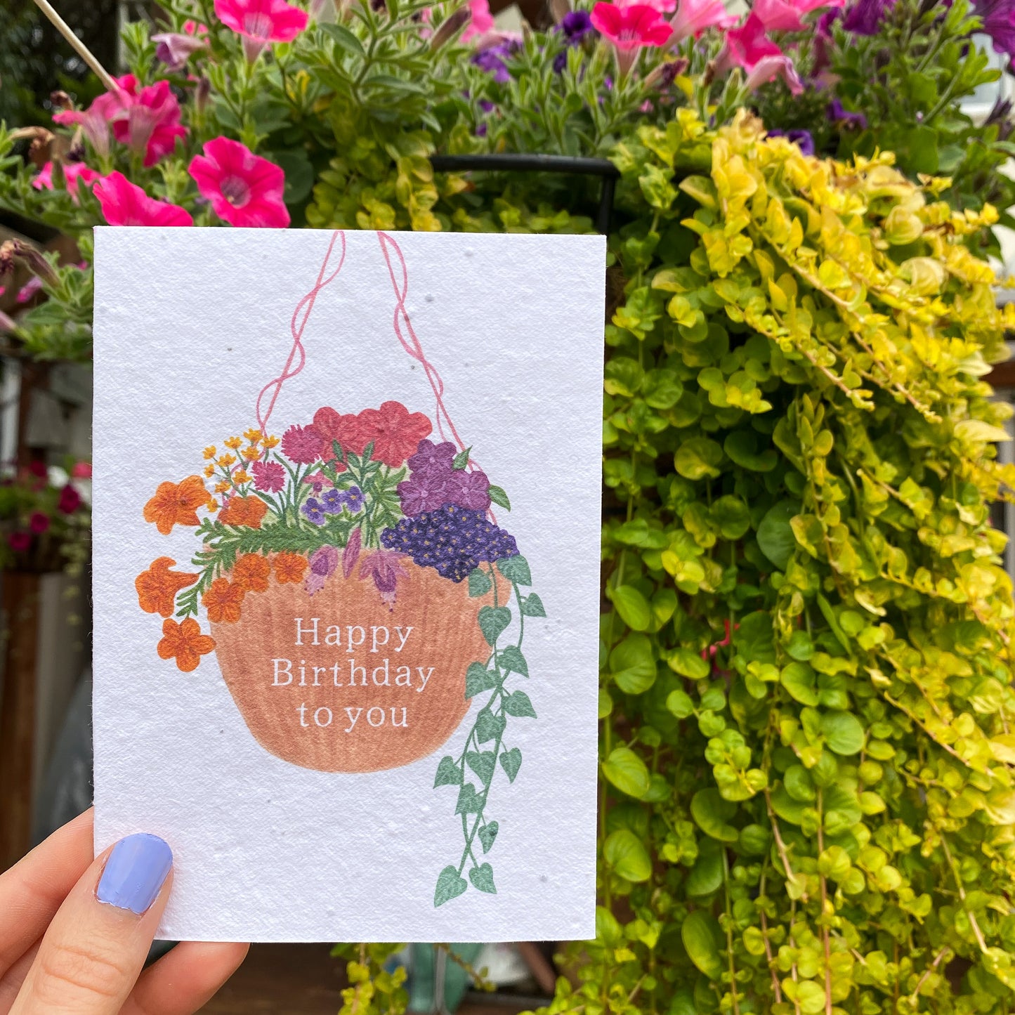 Plantable hanging basket card