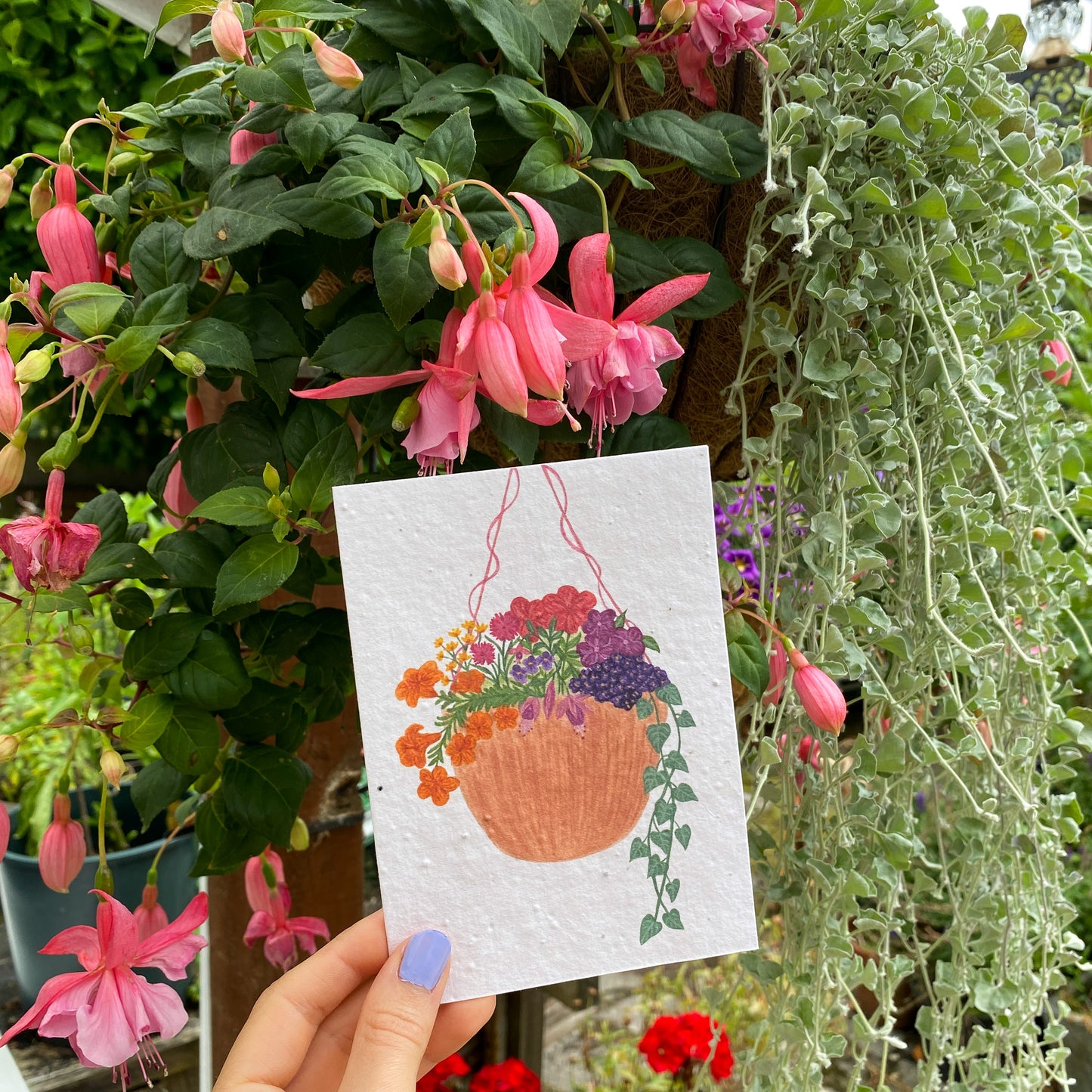 Plantable hanging basket card