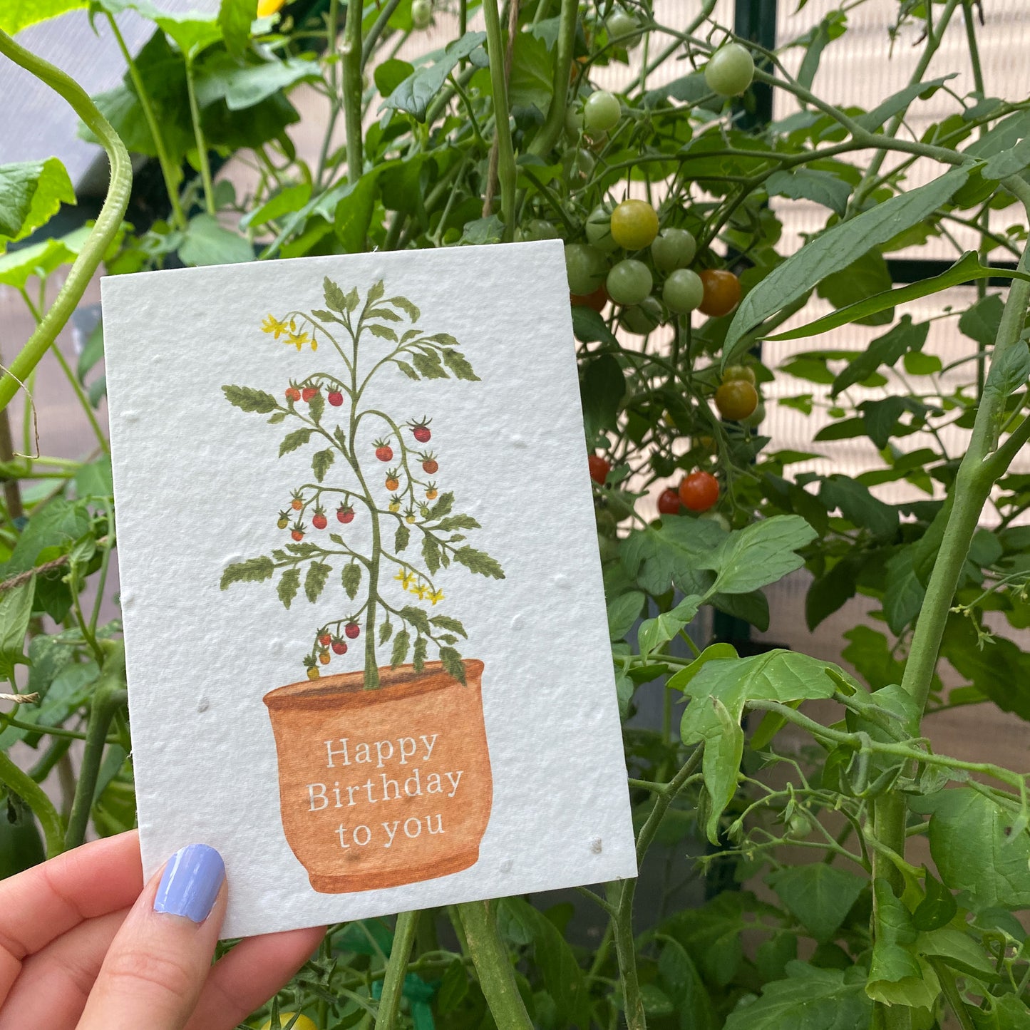 Plantable tomato birthday card