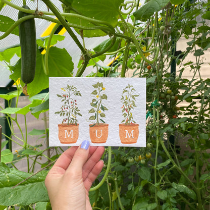 Plantable veg card for Mum and Dad