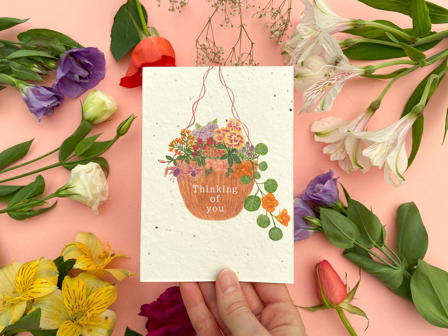 Plantable hanging basket card