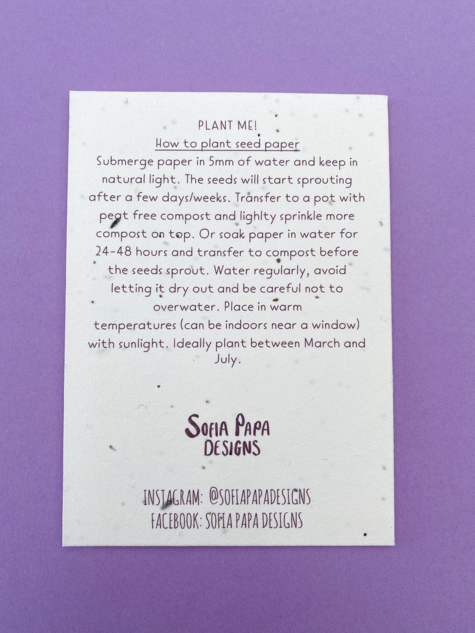Plantable happy birthday to you pansy card - Sofia Papa Designs
