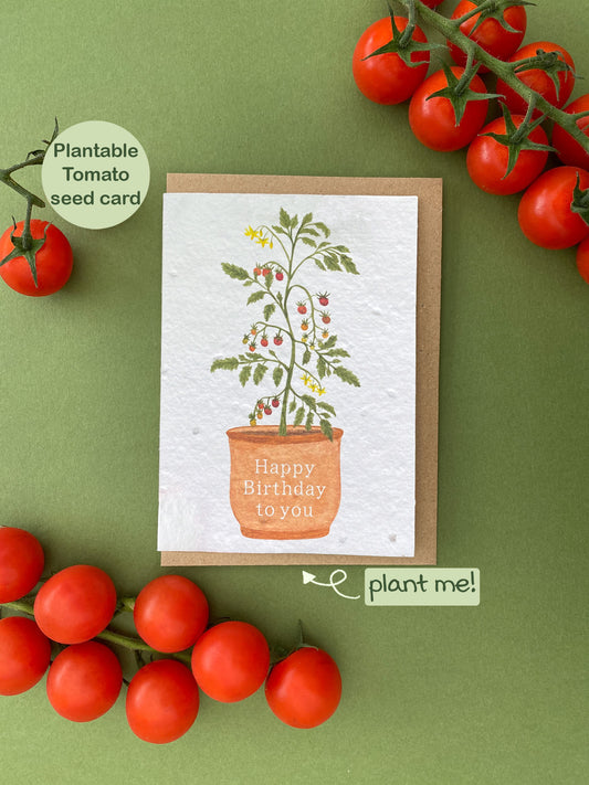 tomato plant, happy birthday to you plantable card